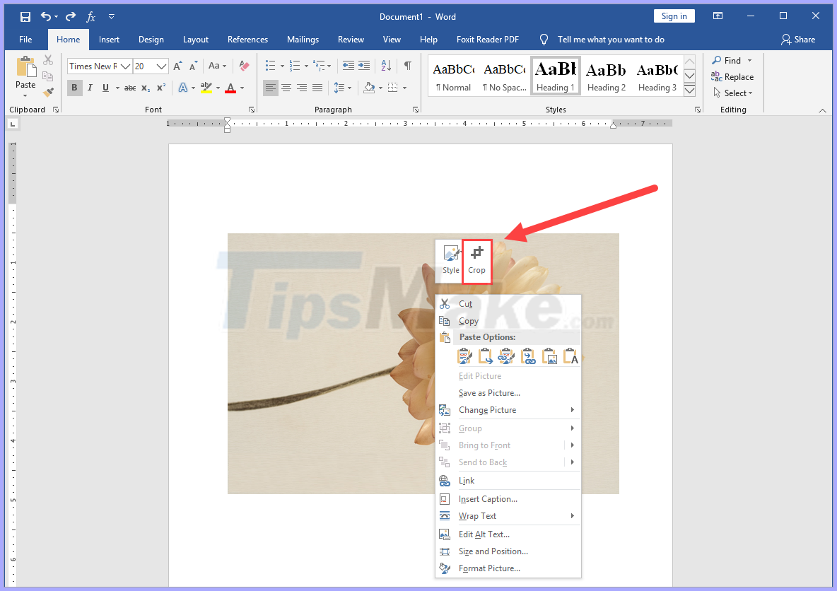 microsoft word for mac crop picture